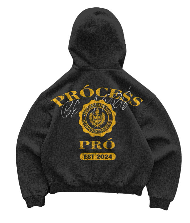 PROCESS EST ZIP UPS